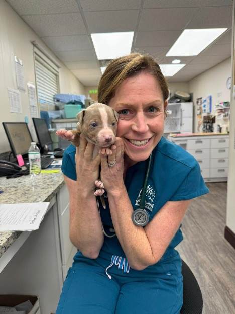 vet tech with puppy