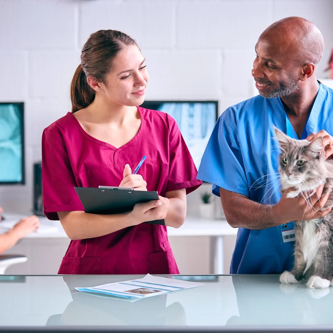 male-vet-and-female-trainee-veterinary-nurse-exami-2024-10-21-22-03-51-utc (1)